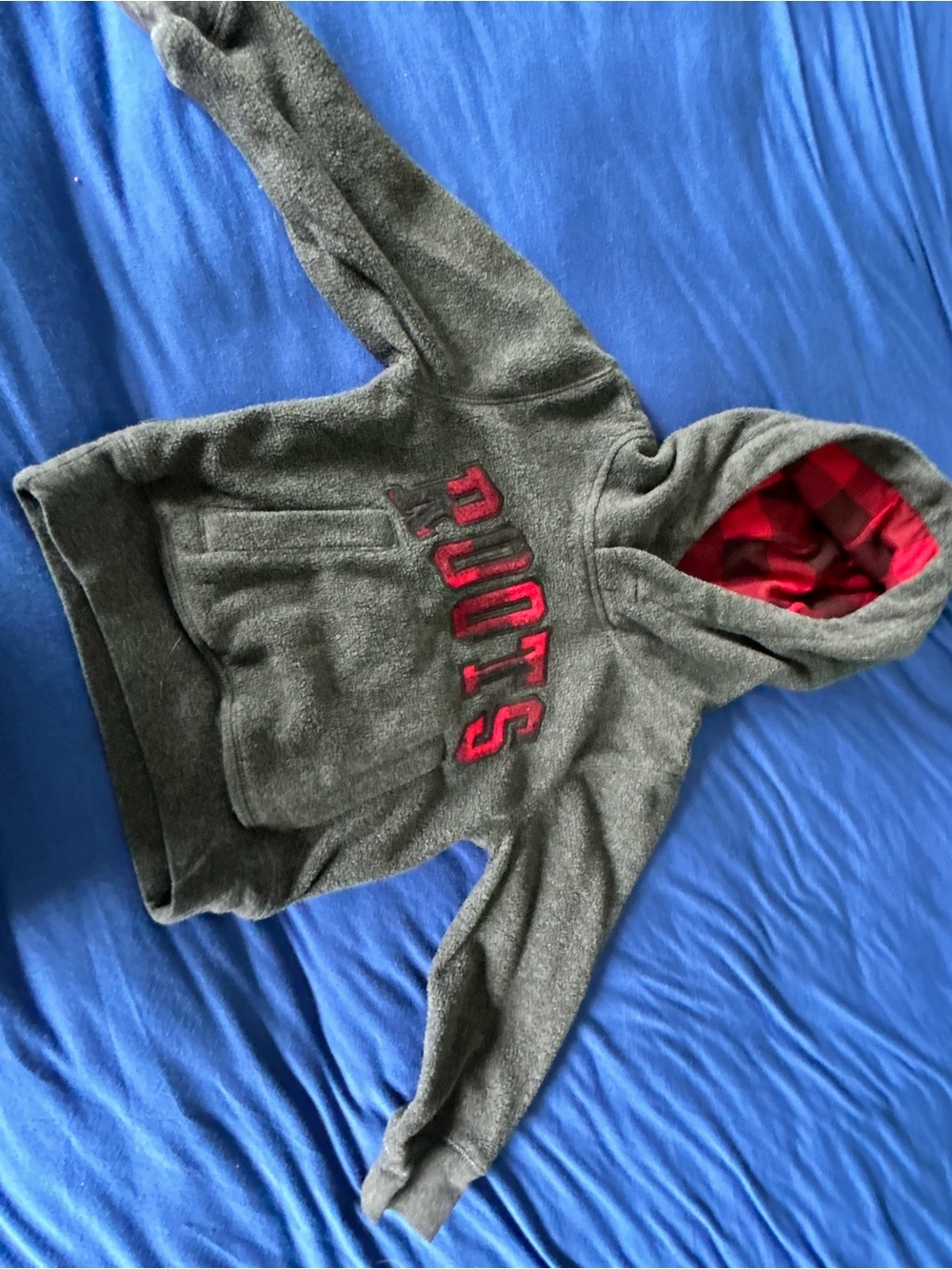 Roots Gray Hoodie with Red Plaid Hood Lining